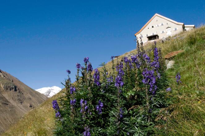 Eisenhut am Hochjoch Hospiz