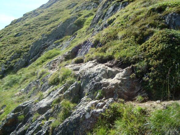 Wegstück am Höhenweg Sonnberg