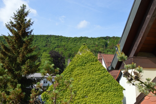 FeWo-Wiesentweg, Fam. Stein - Blick von Balkonveranda zum Frauenstein