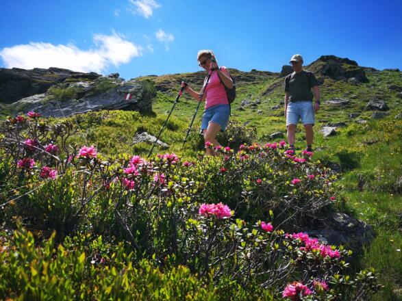 Abstieg vom Gipfel des Kröndlhorn