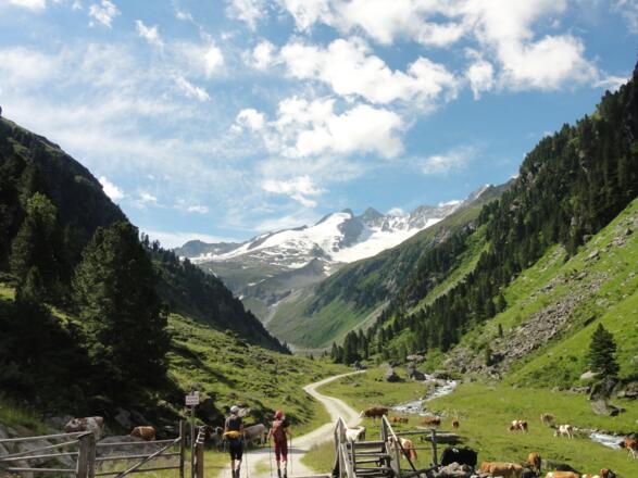 Ein erster Blick zu den Gletschern des Gabeler und Reichenspitze
