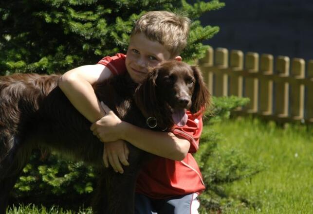 Vital - Hotel zum Ritter