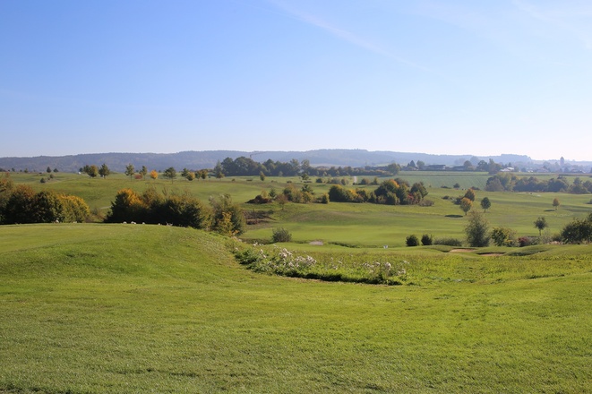 Ausschnitt aus der Runde