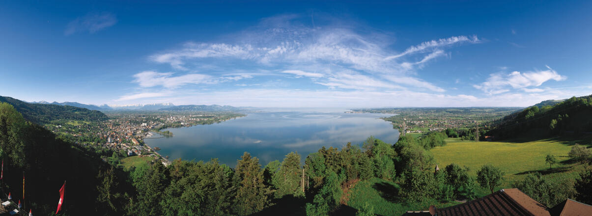Bodensee-Panorama vom Pfänderrrücken