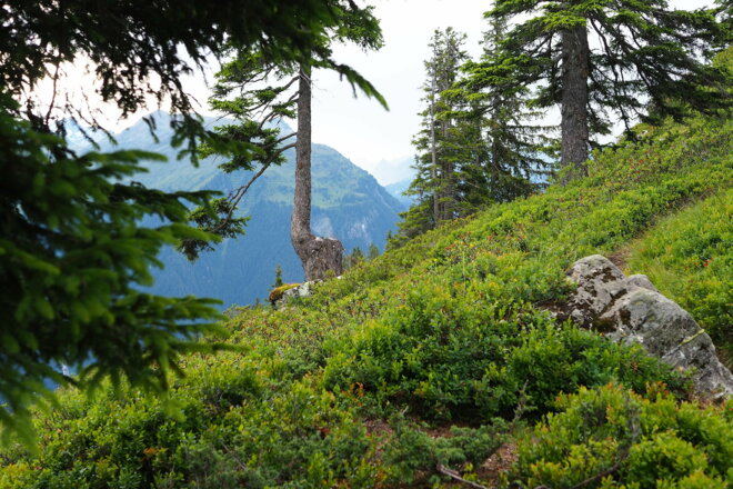 Aufstieg von Garfrescha zum Gantakopf