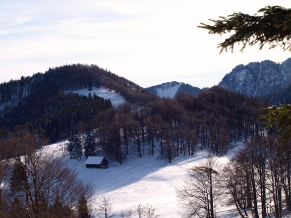 Blick nach Nordosten vom Kruckenbrettl 1020m