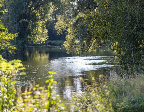 Mühlbach in Olching