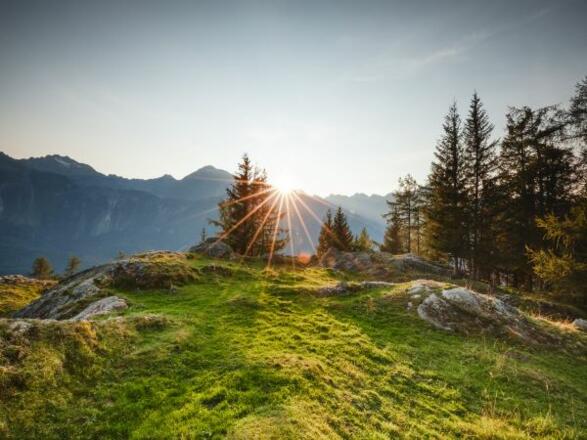 Niederthai - Bichl/"Platte" - Sommer
