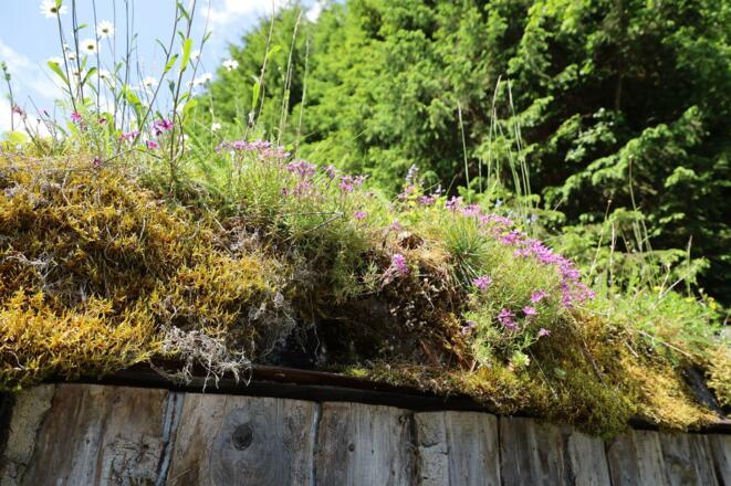Voldertalhütte, Aussen5