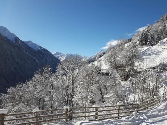 Ausblick_Winter