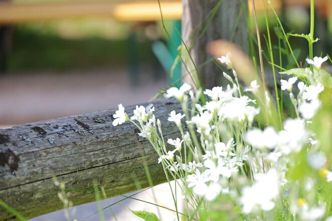 Voldertalhütte, Aussen4