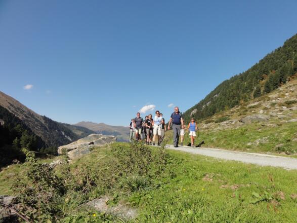 Über den Almweg zur Materialseilbahn der Zittauer Hütte