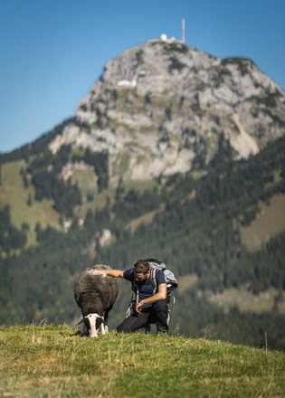 lowres-wandern-sudelfeld_dietmar-denger-44
