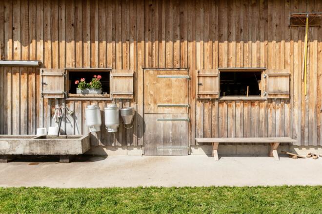 Alpe Greussings Wildmoos