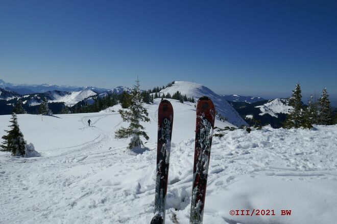 den Rücken zum Kreuzgipfel bitte nur am Tag gehen, Dämmerung und Nacht gehört den Rauhfusshühnern