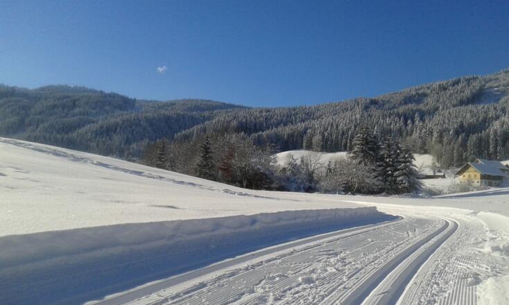 Gosauerhof mit Kalmberg