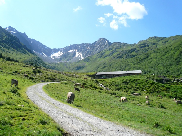 Obere Wasserstubenalpe