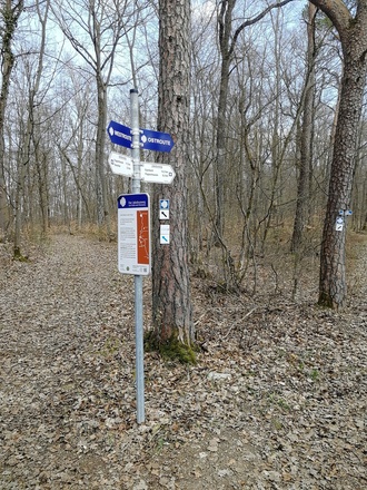 Kreuzung zum "Abzweig Ramsthal"