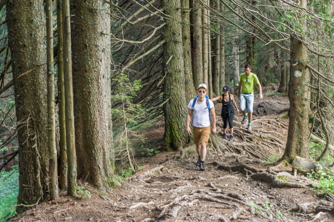 Abstieg zur Briedleralpe