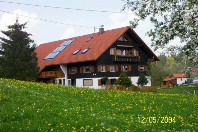 Hausansicht mit Löwenzahnwiese