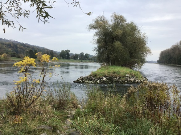 Schleifenroute - In Deggendorf kommen Isar und Donau zusammen.