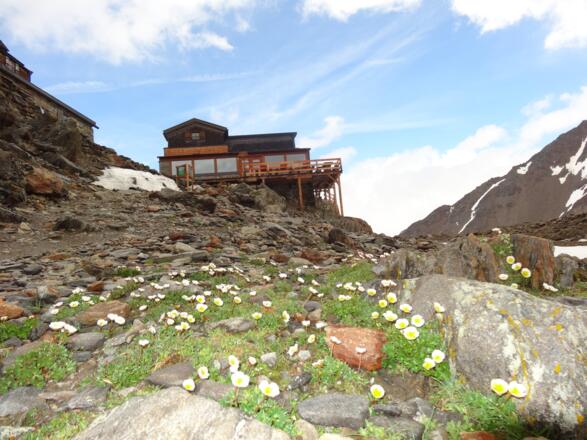Similaunhütte
