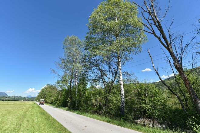 MotivaTOUR Radweg Traktor