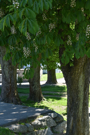MotivaTOUR Rastplatz im Schatten
