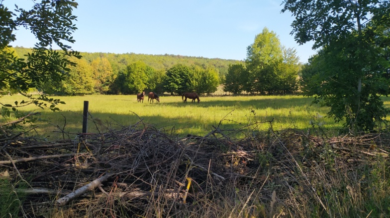 RH Wanderweg