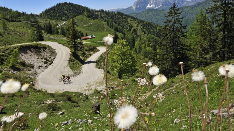 Bergstraße zur Eggenalm