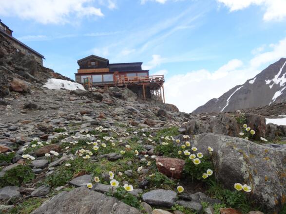 Similaunhütte