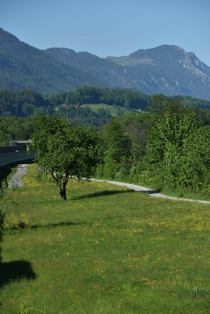 MotivaTOUR Radweg Wiese