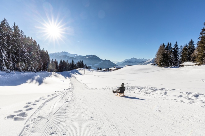 Rodelbahn Panoramaweg Reither Kogel