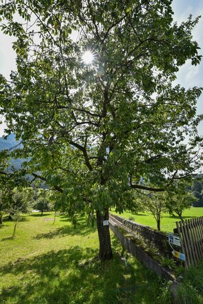 MotivaTOUR St. Gertraudi Station 1