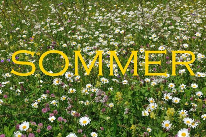 Sommer Impressionen