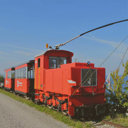 Rheinbähnle-Rheinmündung