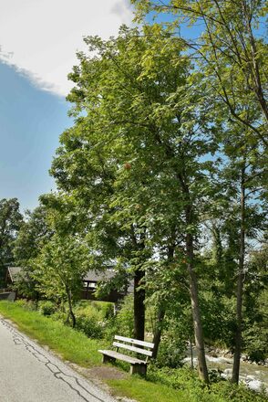 MotivaTOUR Rastbank Baum Kundl