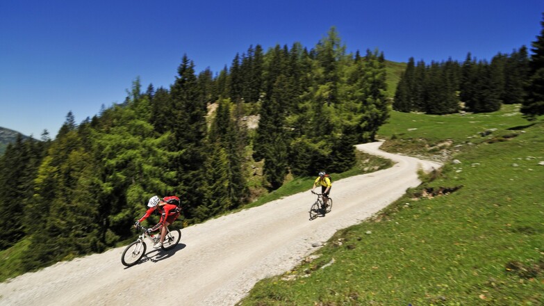 Bergstraße zur Eggenalm