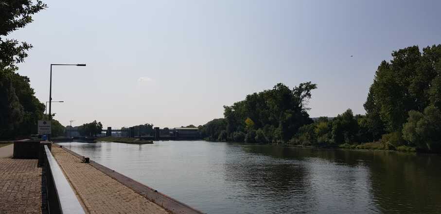 Schleifenroute - Randersacker auf der Strecke von Ochsenfurt kommend