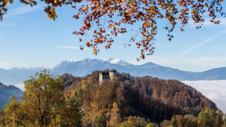 Schloss Glopper Hohenems