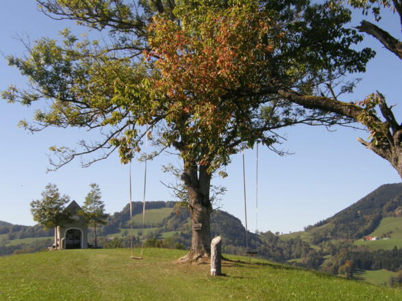 Heilsweg Maria Neustift