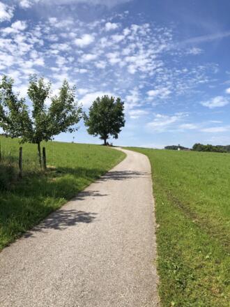 Rastplatz in Obertrum