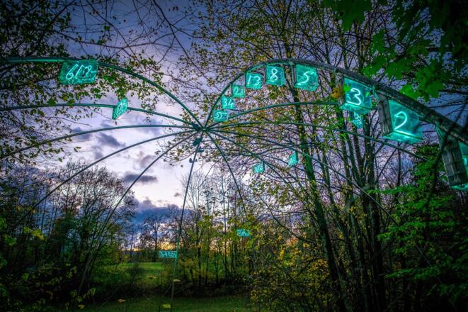 Kunstprojek "Ziffern im Wald" der Salzburg Foundation
