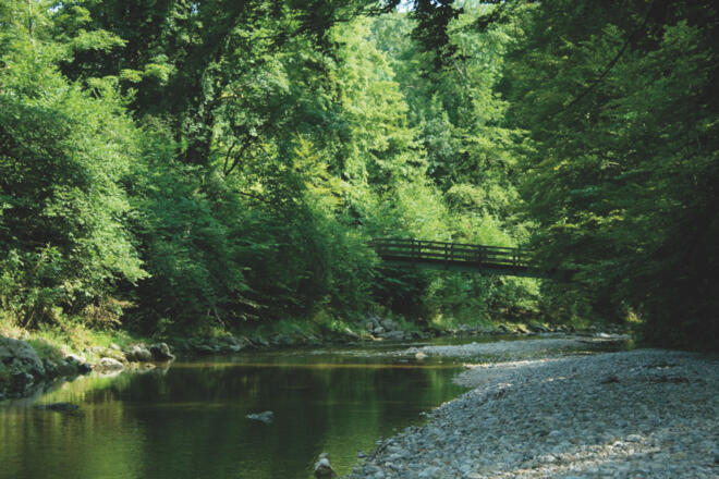 Eichental 1