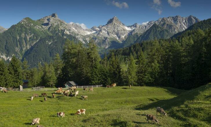 Tschengla_mit_Blick_auf_Zimba_(c)_Hanno_Thurnher_-