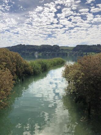 Mattsee