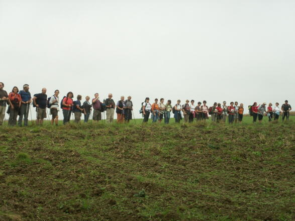 Pilgergruppe am Wiesenrand. Z02