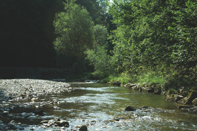 Eichental 2