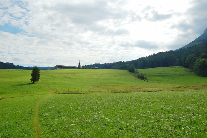 Wiesenpfad hinauf nach Einsiedl