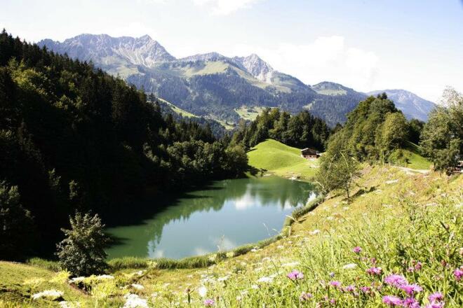 Seewaldsee_(c)__-_Verein_Großes_Walsertal_Tourismu